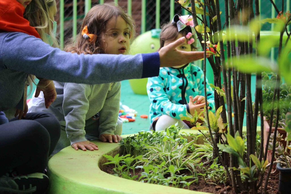 Nosso espaço – Escola Terra do Saber